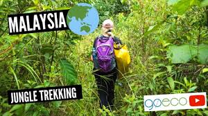 Most national parks are fine however some places like mount ophir ( gunung ledang ) and gunung tahan (oh god the pun, it literally means mount endurance) have claimed quite. Goeco Volunteer Trip Vlog Jungle Trekking In Malaysia Youtube