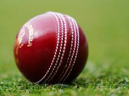 Thrax raider grade a plus plus red cricket ball 6 ball set. Wax Shined Balls No Sweat For Kookaburra The Canberra Times Canberra Act