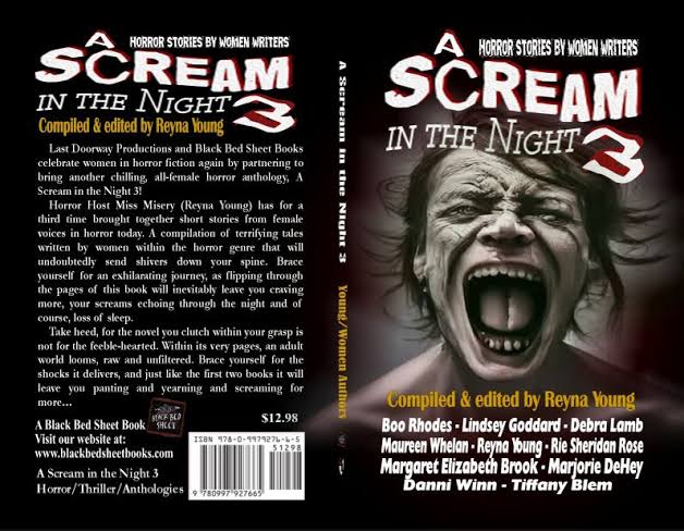A Scream in the Night 3 - Black Bed Sheet Books