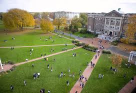 Image result for Peddiea