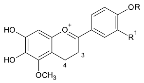 Fernando sampaio, ator que deu vida ao personagem gahiji de 'os dez mandamentos', acaba de perder tudo num incêndio em sua casa. Molecules Free Full Text The Influence Of Anthocyanidin Profile On Antileishmanial Activity Of Arrabidaea Chica Morphotypes Html