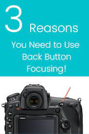 3 Reasons You Need Back Button Focus Wildlife Photography Tips Photography Basics Photography Settings