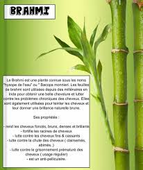 Poudre Indienne Soins Capillaires Soin Cheveux Crepus Poudre Indienne