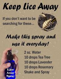 Keep Lice Away With Essential Oils Essential Oils For Lice Living Essentials Oils Essential Oils