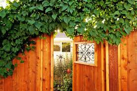 Das holz im garten würde aufgrund hoher feuchtigkeit schnell verwittern. Sichtschutz Privatsphare Im Garten Das Mussen Sie Wissen