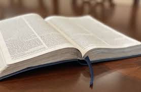 Search and read bible verses using the popular new international version (niv) translation. Notable Hand Tools In The Bible Pro Tool Reviews