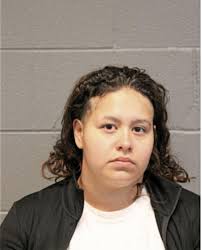 ᐅ Illinois Criminal Records 2009-2025