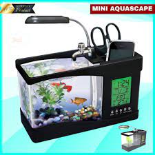 Cocok untuk hiasan di rumah, meja kerja atau hadiah. 3 In 1 Akuarium Aquascape Aquarium Cupang Ikan Hias Mini Kaca Kecil Unik Minimalis Usb Full Set Shopee Indonesia