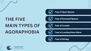 Image result for Agoraphobic Avoidance