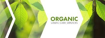 Go green lawn and pest control was built around a mission to preserve our community, reduce environmental harm, and leave. 3 Things To Know About Organic Lawn Care Ct Landscaping Organic Lawn Care Services Hillside Landscaping Co