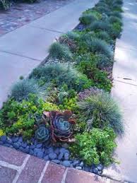Hellstrip Salt Snow Tolerant Plants Google Search Gardening Garden Landscape Design Brick Planter Sidewalk Landscaping