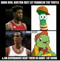 25 Best Le Turtle Memes The Memes You What Memes And Memes
