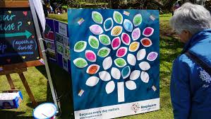 Join Hospiscare At Devon County Show The Exeter Daily