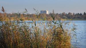 Steezysammy tits- her images are no longer on the site