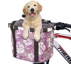 Best bike carrier for pets. The Best Dog Bicycle Baskets For Front Rear Pet Travel Uk
