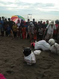 Pantai laguna terletak di pesisir desa merpas, kecamatan nasal, kabupaten kaur. Festival Pantai Laguna Pucue Desa Pao Pao Kec Tanete Rilau Kab Barru Bacaki Id