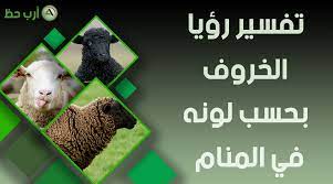 رؤية الرجل المتزوج أنه يقوم. ØªÙØ³ÙŠØ± Ø­Ù„Ù… Ø§Ù„Ø®Ø±ÙˆÙ ÙƒÙ„ Ù…Ø§ ÙŠØªØ¹Ù„Ù‚ Ø¨Ø±Ø¤ÙŠØ© Ø§Ù„Ø®Ø§Ø±ÙˆÙ ÙÙŠ Ø§Ù„Ù…Ù†Ø§Ù… Ø§Ø±Ø¨ Ø­Ø¸