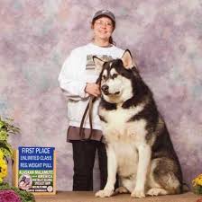 Alaskan Malamute Puppy Weight Chart Dogs Breeds And