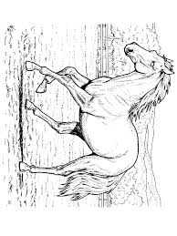 Printable horse coloring page to print and color for free : Realistic Horse Coloring Pages Coloring Home