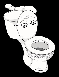 R34 toilet