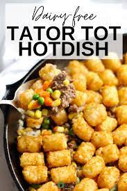 Dairy Free Tator Tot Hotdish Ana Ankeny Recipe Dairy Free Recipes Dinner Free Casserole Recipes Dairy Free Dinner