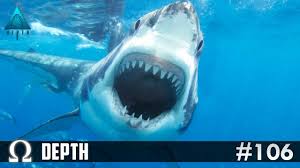 The bull shark, carcharhinus leucas, also known as zambezi shark or unofficially known as zambi in africa and nicaragua shark in nicaragua, is a shark common worldwide in warm, shallow waters along coasts and in rivers. Bull Shark Great White Frenzy Depth Divers Vs Sharks 106 Multiplayer Shark Rounds Youtube