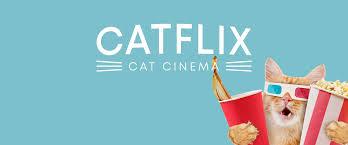 Uma tribo de gatos chamada jellicles deve decidir anualmente qual deles irá subir para a camada heaviside layer e voltar para uma nova vida de jellicles. Catflix Cat Cinema Catmosphere