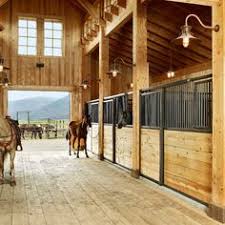 Running up to the fence and petting the horse along its muzzle how are you girl? 200 Best Fancy Horse Barns Ideas Horse Barns Dream Barn Barn Stables