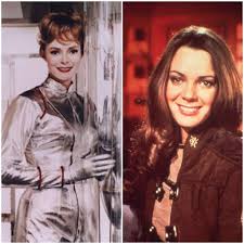 images?q=tbn:ANd9GcT5Ed7kyYMK4otXDiEyw7gmx1rZKrih3ew5-g&s