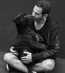 The site owner hides the web page description. Onix Eddie Jaguar Bjwt Onixforever Black Jaguar White Tiger Black Jaguar White Tiger Black Jaguar Animals Beautiful