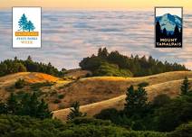 Mt. Tam State Park: Nourish Your Health & Well-Being