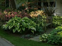 Plant hostas along a fence to add color and interest. How To Plant And Grow Gorgeous Shade Loving Hosta Plants Dengarden
