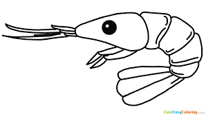Select from 35450 printable coloring pages of cartoons, animals, nature, bible and many more. Shrimp Coloring Page Free Printable For Kids