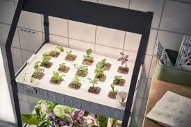 Maos A Horta Jardinagem Horta Ikeaportugal Jardinagem Hidroponica Sistema Hidroponico Aquaponia