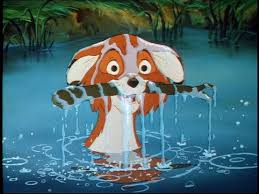 Read on for 15 facts about fox news anchors. Pin By Samantha Postema On Disney Disney Disney The Fox And The Hound Disney Art Disney Animated Movies