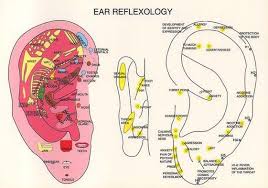 Veracious Ear Chart Picture Scientific Publishing The Ear Chart
