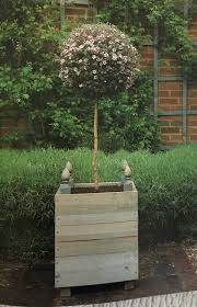 This box planter looks really great for something that is made these natural colored crater planter boxes resemble the versailles style with the crossed planks at the side. Content In A Cottage Diy Versailles Case Planter Box