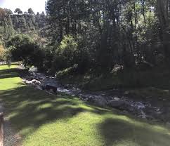 Sierra blanca cabins' log style cabins are spread across three acres of ruidoso's pine covered forest and border the rio ruidoso. Cabins Are Gorgeous Picture Of Sierra Blanca Cabins Ruidoso Tripadvisor