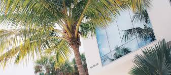 She is further survived by her seven grandchildren: University Of Miami Mred U Linkedin