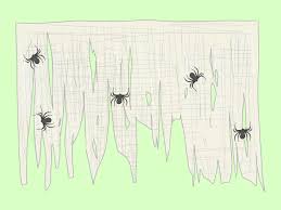 There are spider species which live in huge colonies and share their webs, there are other species, usually jumping spiders, which display surprising problem solving abilities, and will steal food from another spider's web, or even use it to capture its own occupant. 4 Ways To Make A Spider Web Wikihow