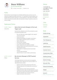 Launched first touch screen insulin pump to endocrinologists, cde's and patients in western, central, northern and southern tier of xx. Key Account Manager Resume Writing Guide 20 Templates