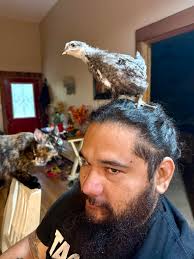 Farmers sharing and supporting each other's farm pages