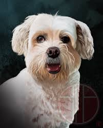 This rendering was commissioned and completed by Shane McCormack aka  harrylime. You can find him