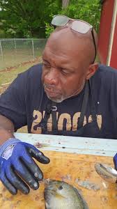 Happy Sunday!! Meatloaf, maple bacon Brussel sprouts, mac & cheese, pinto  beans & fried cornbread. Tennessee Soul Food LLC The Soul Puppets @topfans  #followers #follow Christy Thomas