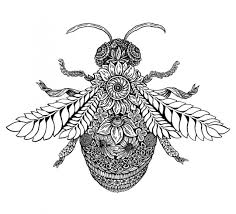 Birds And The Bees Talk Script Botanical Bee Illustration By Emily Brooks Bee Utiful Bees Botanical Garden Flower Beefriendly Bee Illustration Bee Tattoo Bee Drawing