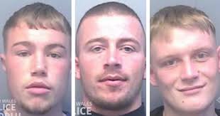 Young cocaine dealer had imitation guns as 'tools' of his trade