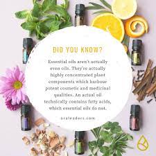 See the benefits of this amazing oil! Essentialoilfacts Doterra Trivia Oraleaders Togetherwegotthis Free Essential Oils Essential Oils Therapeutic Grade Essential Oils