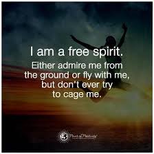 Looking for some spiritual quotes for inspiration? I Am A Free Spirit Free Spirit Quotes Spirit Quotes Free Spirit