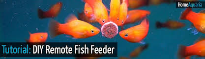 Download files and build them with your 3d printer, laser cutter, or cnc. Aquarium Hack How To Make A Diy Fish Feeder Using A Cellphone Aquarium Deals And News