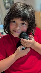 Kvali Standard Poodles added a...